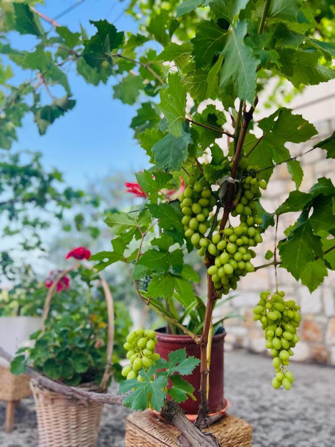 Tzavelitiko Home Himare Buitenkant foto